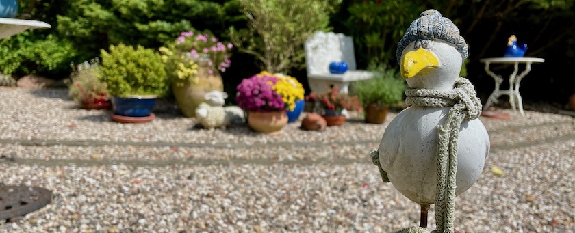 Funny wooden seagull in front of some plants