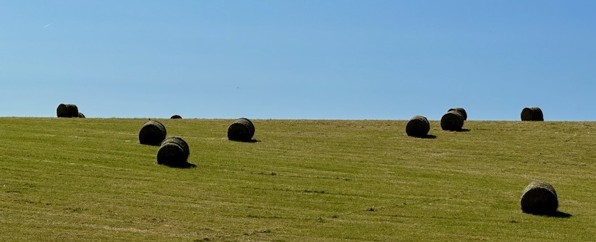 Hay bales lying scattered on a meadow