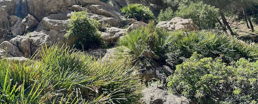 Rugged Mediterranean terrain (seen near Malaga, Spain)