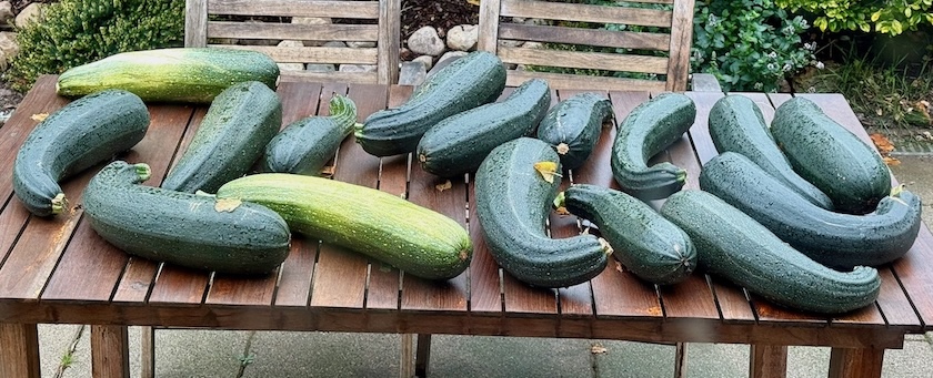 (Big) zucchinis on a table