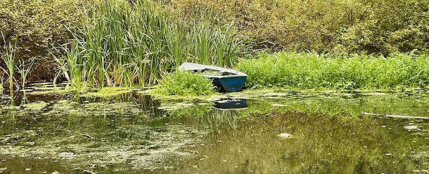 Abandoned boat in a pond
