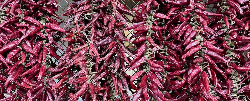 Bunch of chilies (seen at a market in Budapest, Hungary)