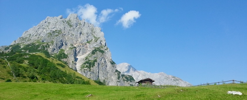 A meadow just below a mountain peak