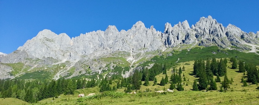 A range of mountain peaks behind green land