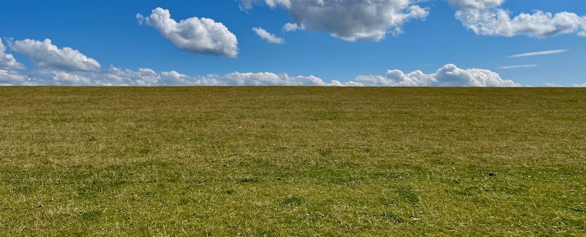 Meadow (seen in northern Germany)