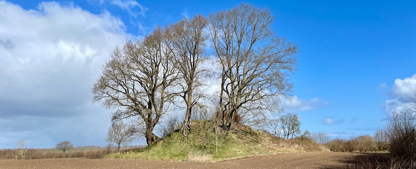 Ancient overgrown burial mound (seen in northern Germany)